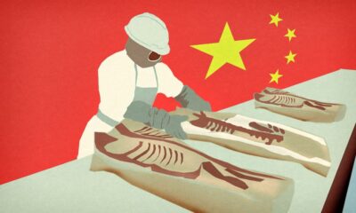 CARNE CHINA Estadounidenses
