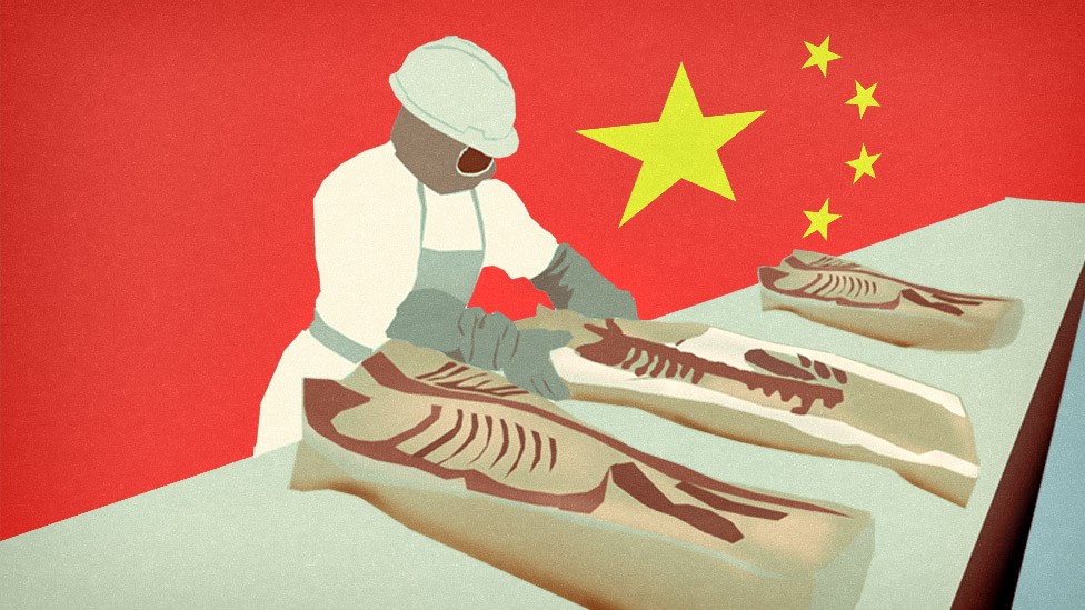 CARNE CHINA Estadounidenses