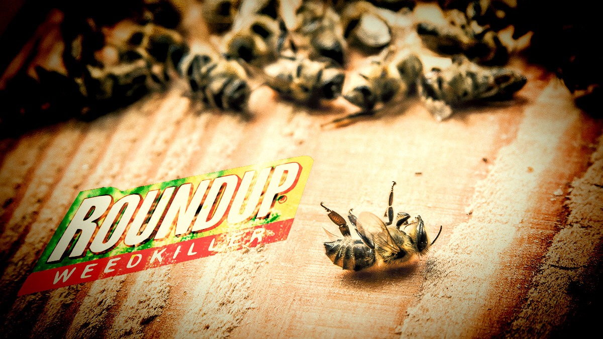 ROUNDUP