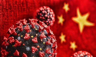 Virus