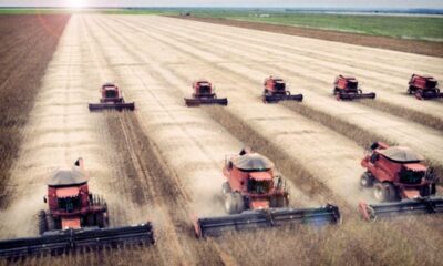 agricultura industrial