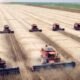 agricultura industrial