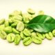 grano de café