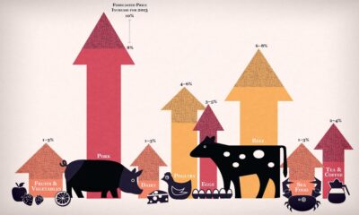 alimentos