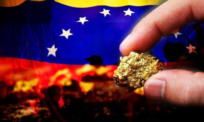 pepitas de oro