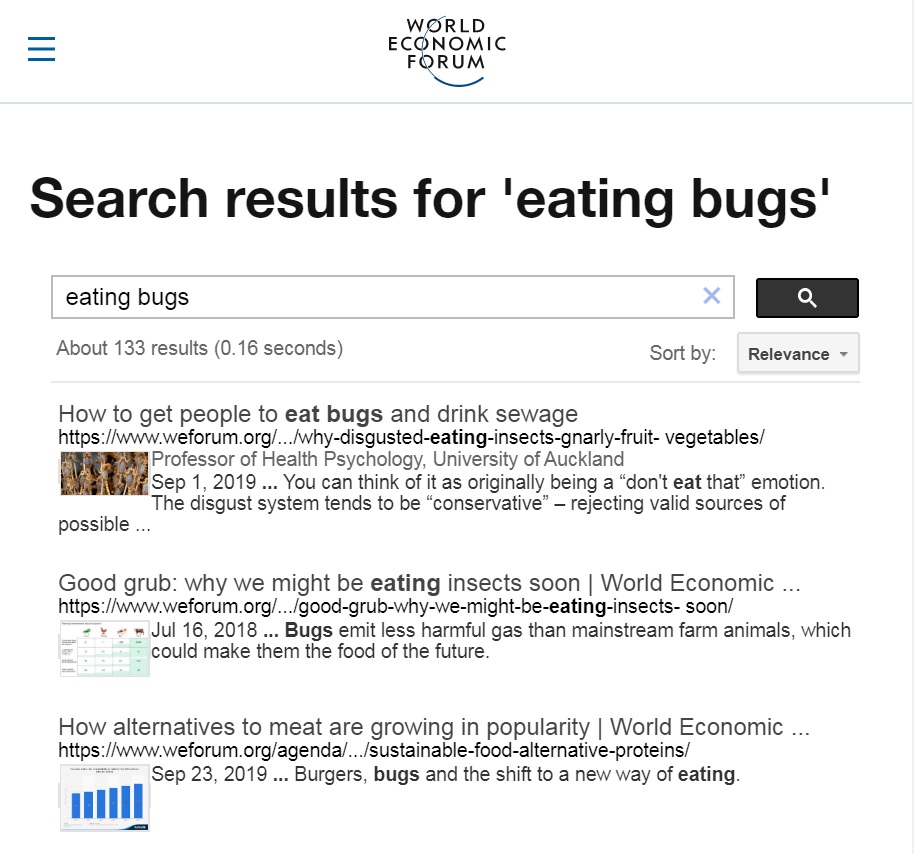 bugs