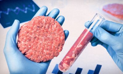 carne cultivada