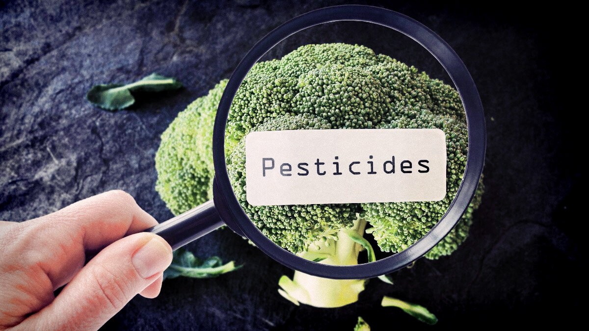 pesticidas